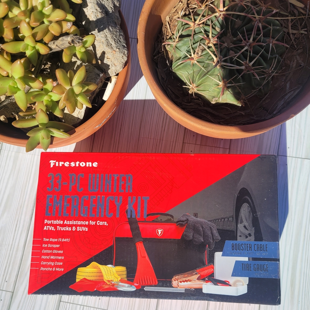 Firestone Red Detailing Kit - Picture 3 of 16